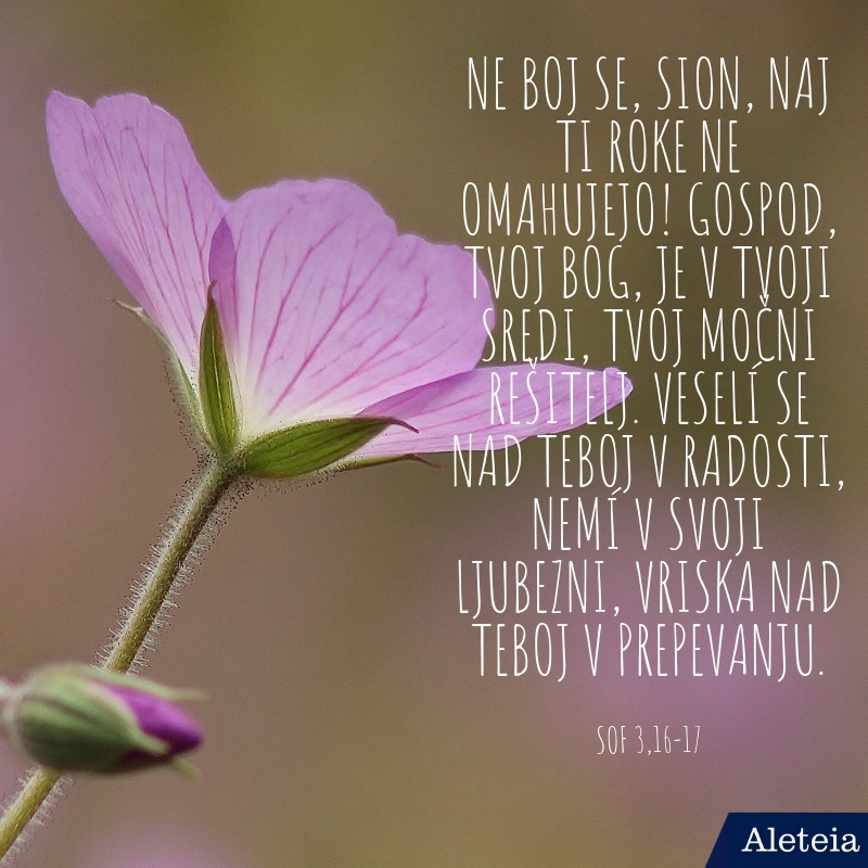 Ne boj se, Sion, naj ti roke ne omahujejo! Gospod, tvoj Bog, je v tvoji sredi, tvoj močni rešitelj. Veselí se nad teboj v radosti, nemí v svoji ljubezni, vriska nad teboj v prepevanj