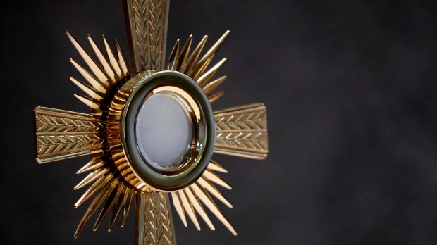 web2-eucharistic-adoration-godong-fr002697a.jpg