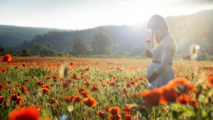 PREGNANT, FIELD, POPPIES