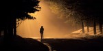 ALONE