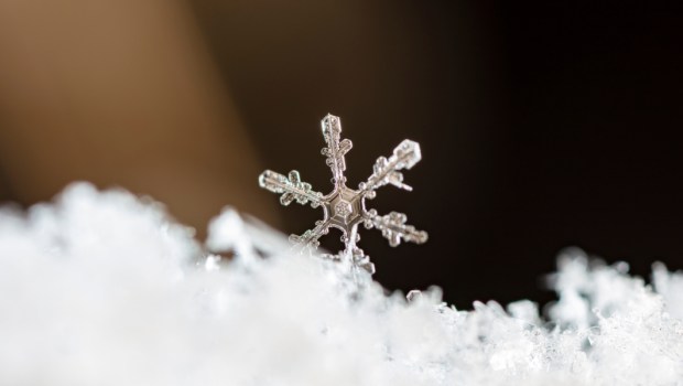MACRO, SNOWFLAKE