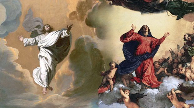 ascension AND ASSUMPTION
