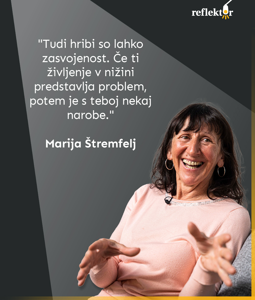 zakonca štremfelj