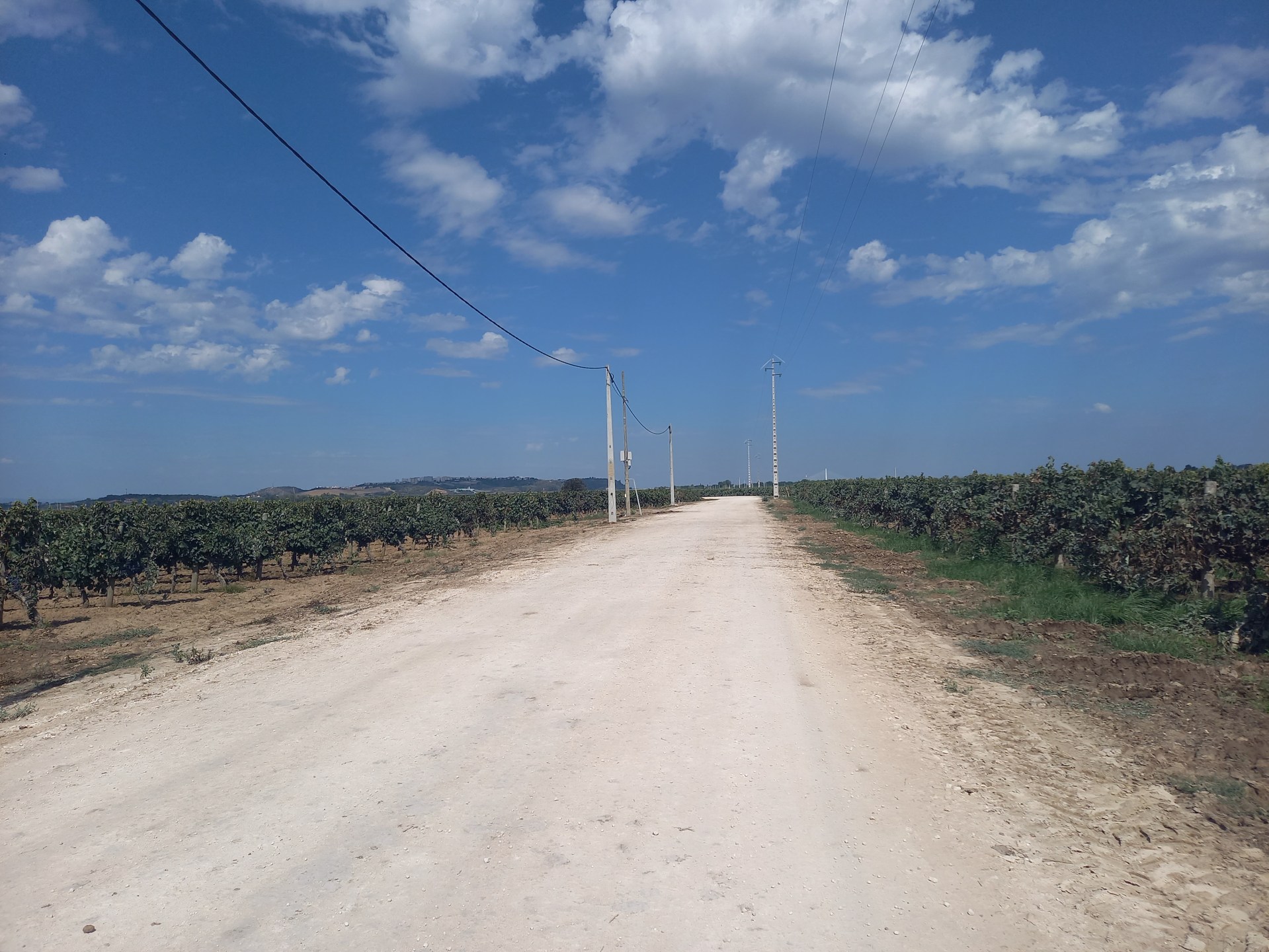 neza-tomazic-fatima-13.jpg
