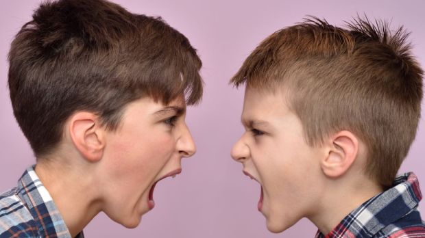 Two angry brothers
