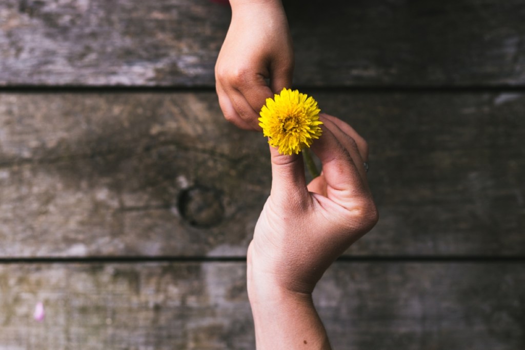 giving flower | Shutterstock