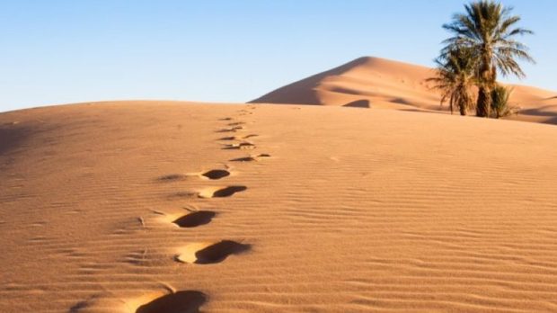 footprints-in-the-middle-of-the-desert-shutterstock_766677442-e1678977861259.jpg