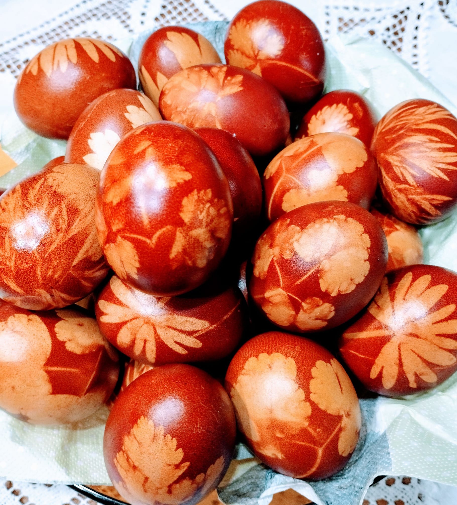 pirhi-bralka-albibn.jpg