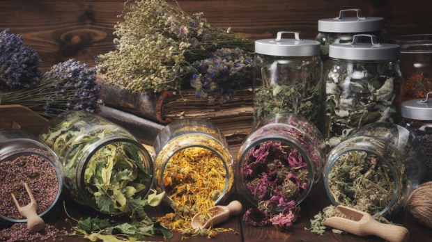 Jars of dry medicinal herbs