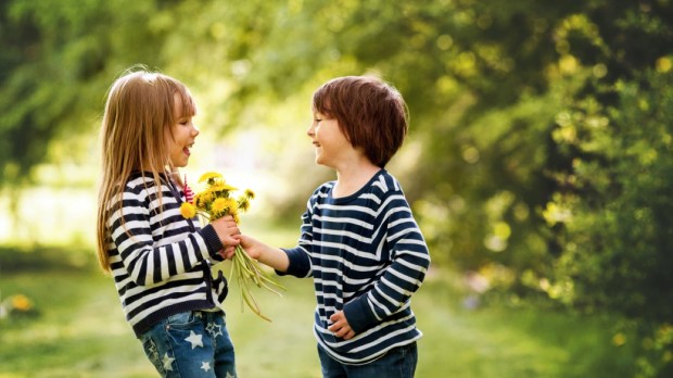 boy giving flowers to the girl