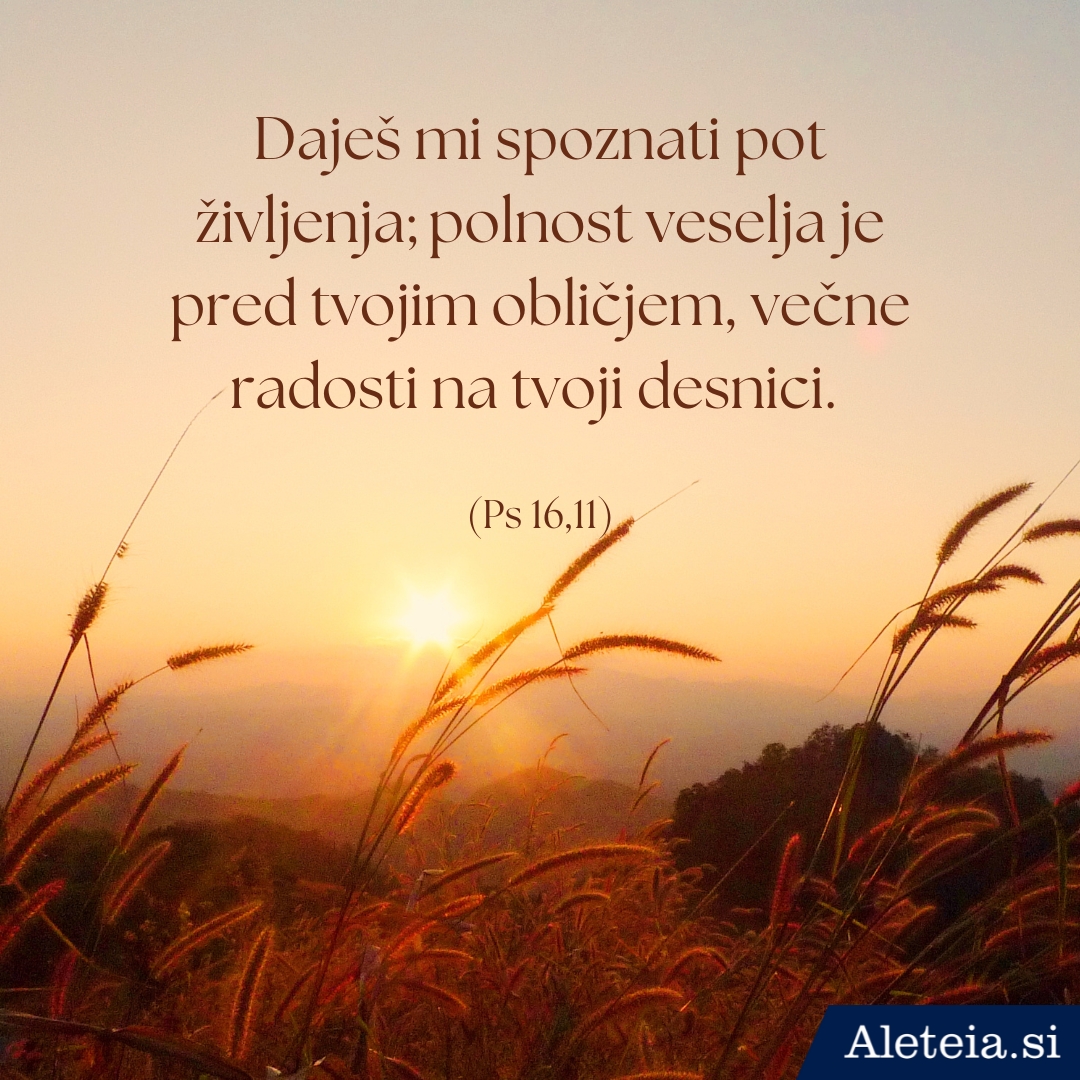 Svetopisemske misli ob rojstnem dnevu