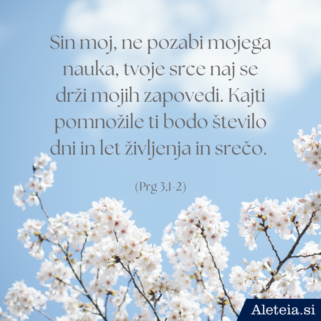 Svetopisemske misli ob rojstnem dnevu