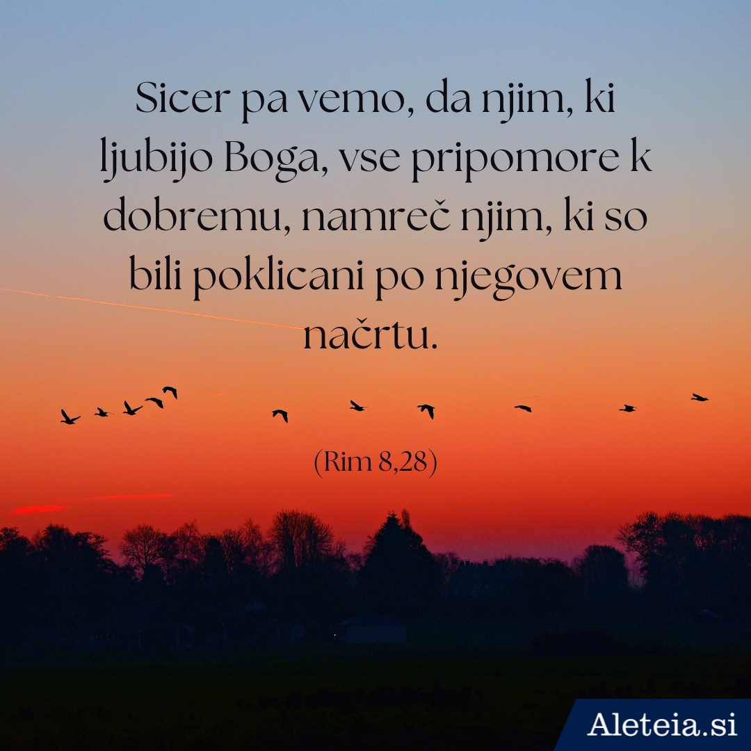 Svetopisemske misli ob rojstnem dnevu
