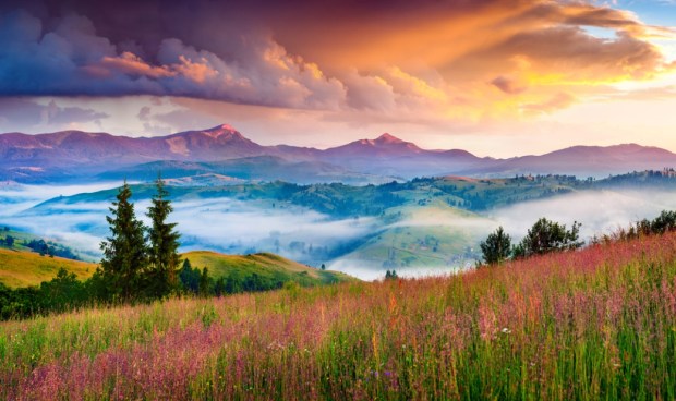 Foggy summer sunrise in the Carpathian mountains