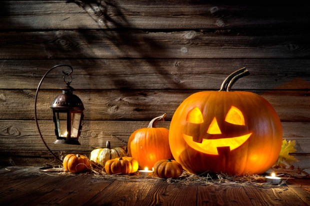 Halloween pumpkin head jack lantern on wooden background