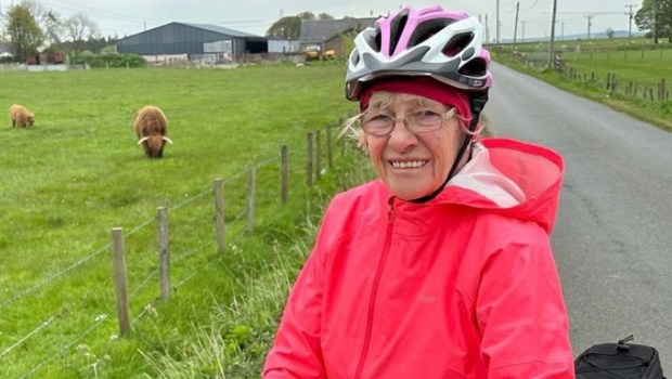 Mavis cycle