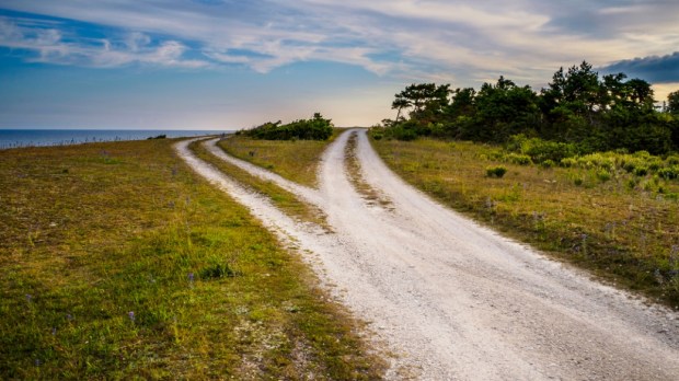 a gravel road that divides into two different paths that disappear on the horizon
