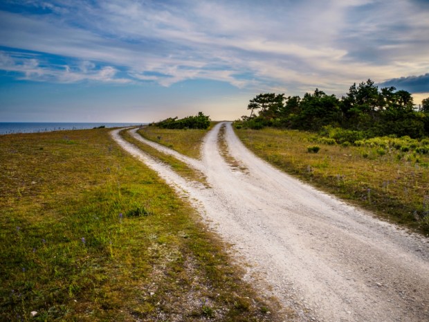 a gravel road that divides into two different paths that disappear on the horizon