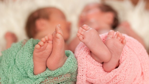 twins babies siblings