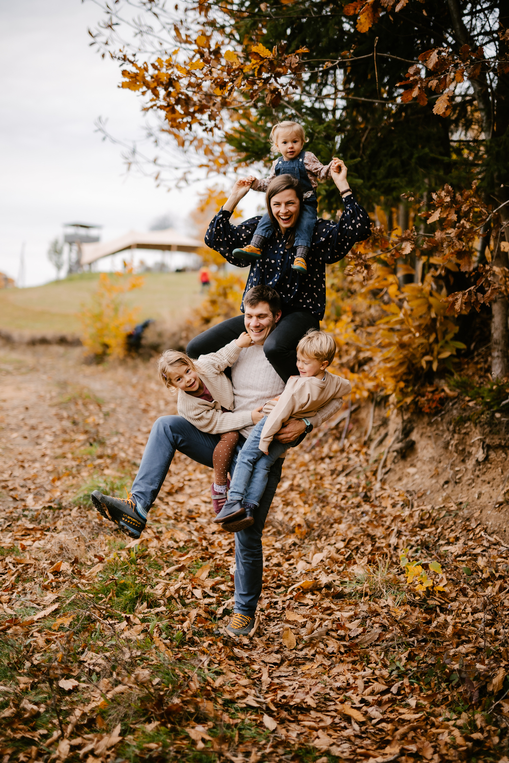 firbas family