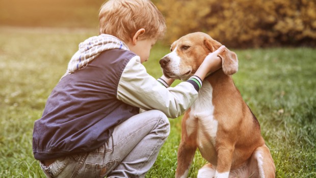 Boy and dog